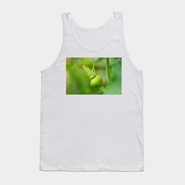 oli new squash Tank Top by pcfyi